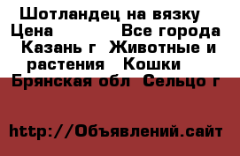 Шотландец на вязку › Цена ­ 1 000 - Все города, Казань г. Животные и растения » Кошки   . Брянская обл.,Сельцо г.